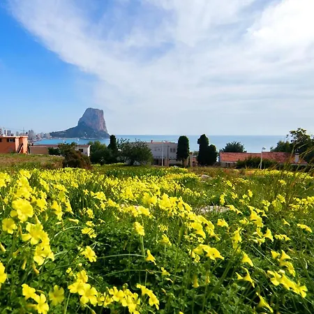 Homeincalpe Borumbot Кальпе