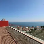 Homeincalpe Borumbot * Κάλπε