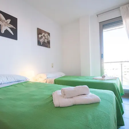 Homeincalpe Borumbot *